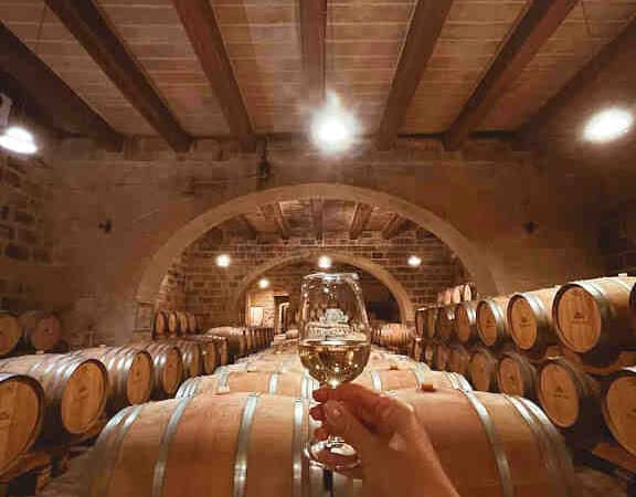 Wycieczka po maltańskiej piwnicy z winami