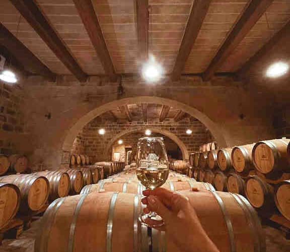 Tour della cantina dei vini maltesi