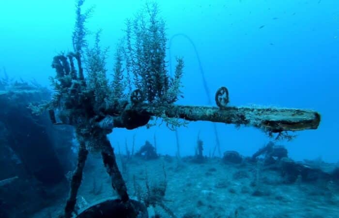 Wreck Dive machine gun in Malta